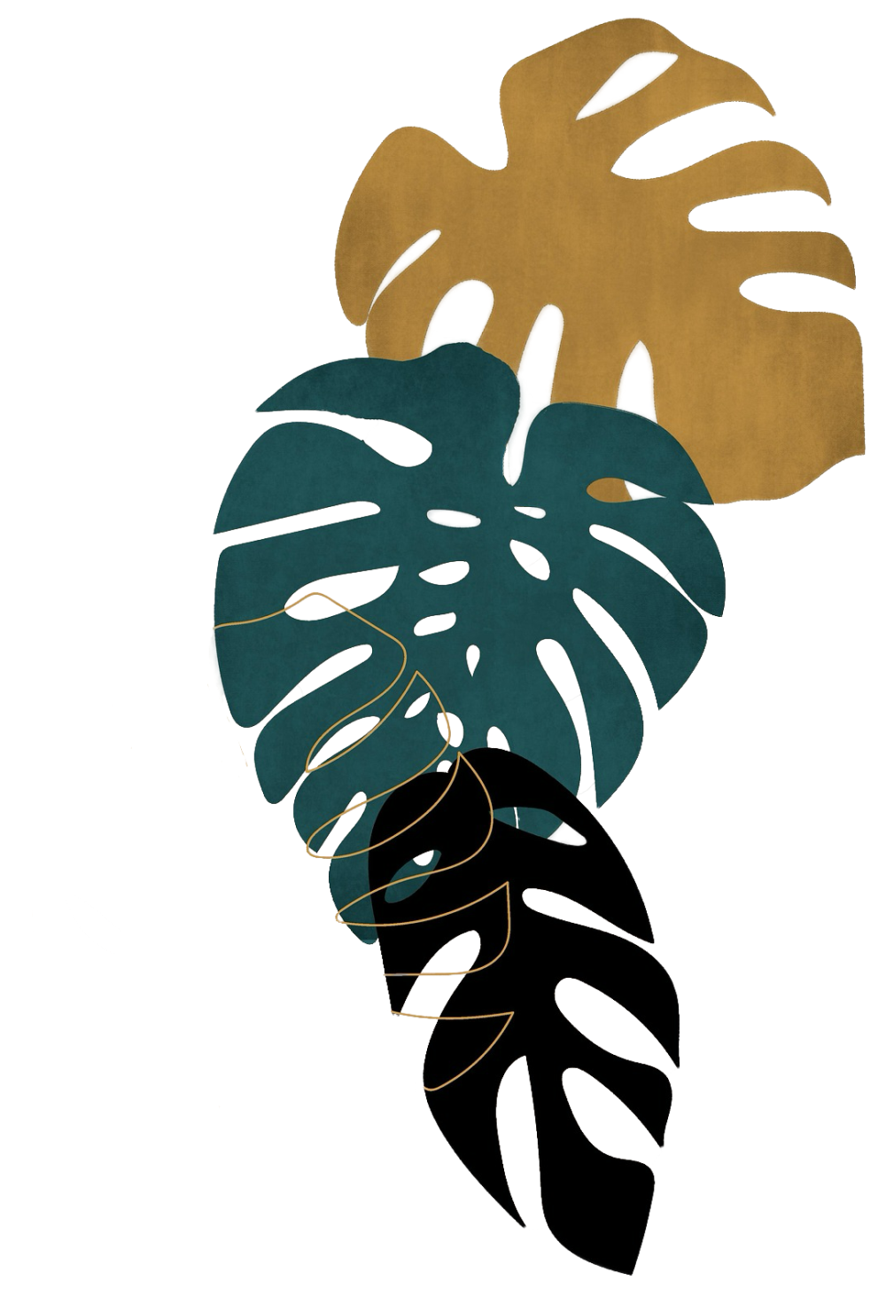 Variations of monstera leafs reflect the diversity of Sebastian's practice and services as well as his counselling clientele